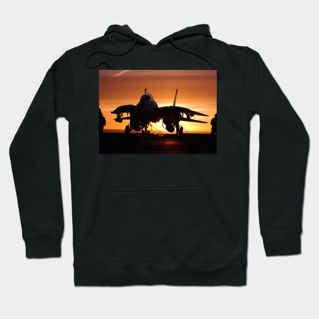 F14 Tomcat Hoodie by Aircraft.Lover